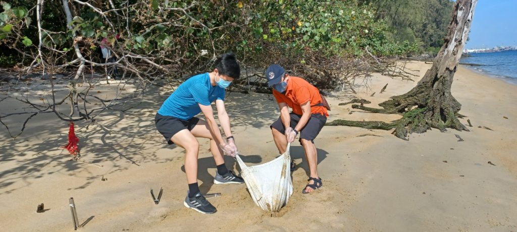 Beach clean up